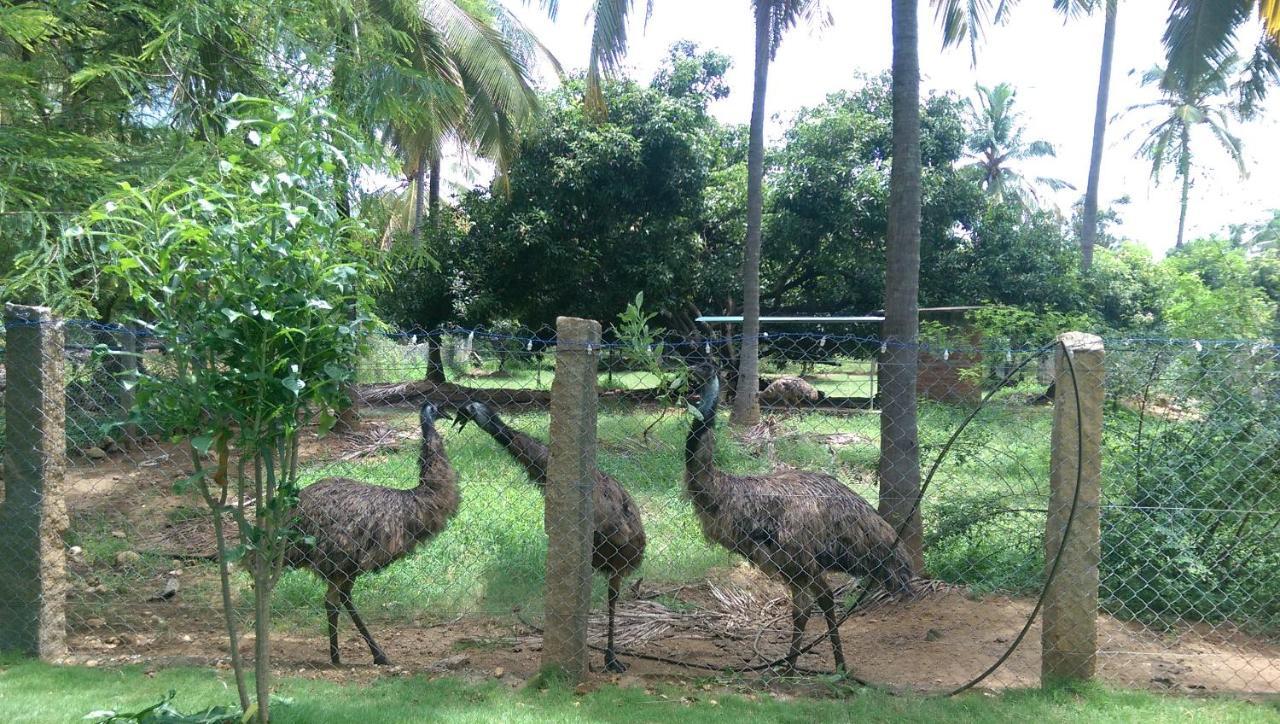 Mango Village Farm House Nelliyampathy Esterno foto